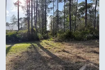 Tbd US 19, Inglis, FL 34449 - Photo 5
