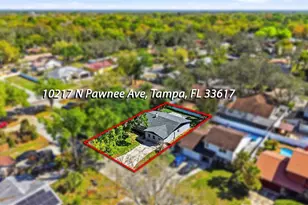 10217 N Pawnee Ave, Tampa, FL 33617 - Photo 69