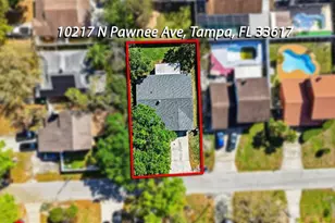 10217 N Pawnee Ave, Tampa, FL 33617 - Photo 67