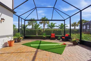 32626 Tree of Life Ave, Wesley Chapel, FL 33543 - Photo 45