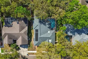 1709 La Forest Ave, Safety Harbor, FL 34695 - Photo 51