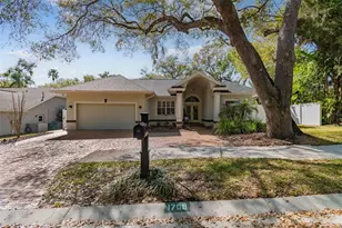 1709 La Forest Ave, Safety Harbor, FL 34695 - Photo 3