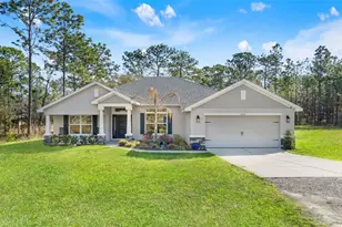 15250 Barron Ct, Brooksville, FL 34614 - Photo 1