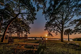 592 Bella Loop, Dunedin, FL 34698 - Photo 5