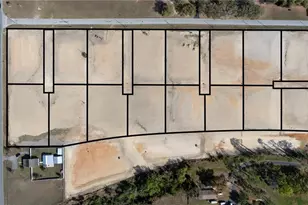 Lot 13 Dunne Rd, San Antonio, FL 33576 - Photo 1