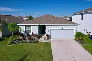 8341 Bower Bass Cir, Wesley Chapel, FL 33545 - Photo 1