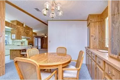 35909 Bueno Drive, Zephyrhills, FL 33541 - Photo 45