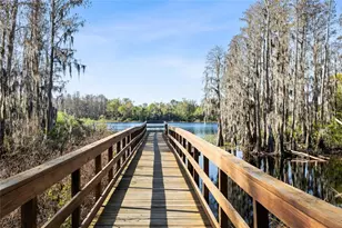 14205 Damselfly Dr, Tampa, FL 33625 - Photo 35