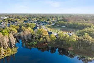 14205 Damselfly Dr, Tampa, FL 33625 - Photo 23