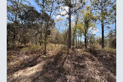 2 Linder Street, Homosassa, FL 34446 - Photo 11