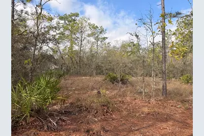 2 Linder Street, Homosassa, FL 34446 - Photo 25