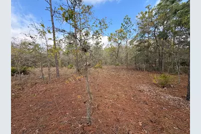 2 Linder Street, Homosassa, FL 34446 - Photo 23