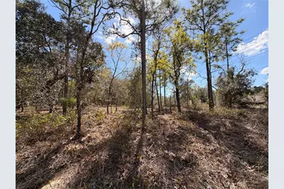 2 Linder Street, Homosassa, FL 34446 - Photo 9