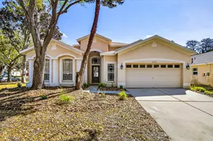 6002 Martinglade Pl, Lithia, FL 33547 - Photo 1