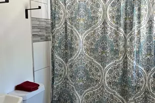 4702 N Willis St, Tampa, FL 33603 - Photo 17