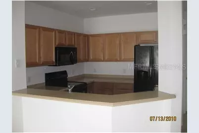 20468 Needletree Drive, Tampa, FL 33647 - Photo 3