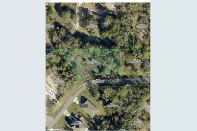 12095 Ipswich Sparrow Road, Weeki Wachee, FL 34614 - Photo 1