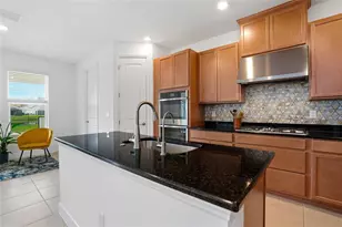 34068 Castaway Loop, Wesley Chapel, FL 33543 - Photo 11