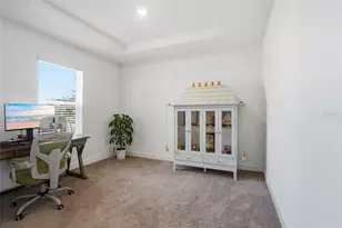 34068 Castaway Loop, Wesley Chapel, FL 33543 - Photo 17