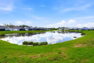 34068 Castaway Loop, Wesley Chapel, FL 33543 - Photo 53