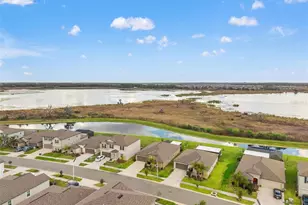 31713 Sun Kettle Loop, Wesley Chapel, FL 33545 - Photo 47