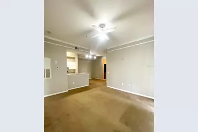 17112 Carrington Park Drive #924, Tampa, FL 33647 - Photo 11