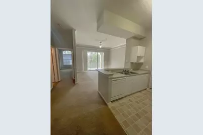 17112 Carrington Park Drive #924, Tampa, FL 33647 - Photo 7