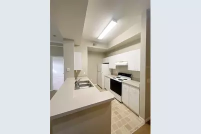 17112 Carrington Park Drive #924, Tampa, FL 33647 - Photo 5