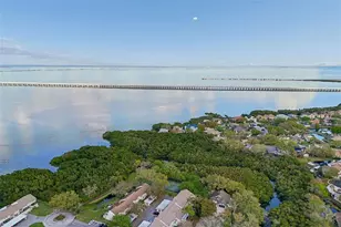 607 Bough Ave, Clearwater, FL 33760 - Photo 37