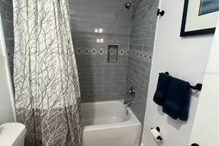 311 E Floribraska Ave, Tampa, FL 33603 - Photo 17