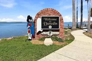 152 Valencia Dr, Dunedin, FL 34698 - Photo 35