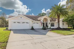 470 Hickory Nut Ave, Oldsmar, FL 34677 - Photo 17