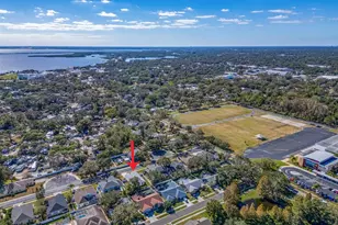 809 Duval Ct, Safety Harbor, FL 34695 - Photo 37