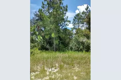 1322 Tallahassee Court, Kissimmee, FL 34759 - Photo 1