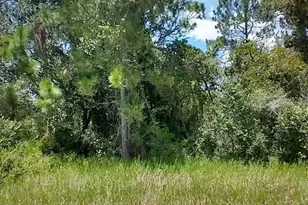 1322 Tallahassee Ct, Kissimmee, FL 34759 - Photo 1