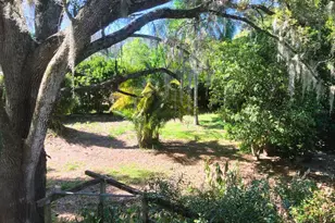21004 Negril Ct, Lutz, FL 33558 - Photo 35