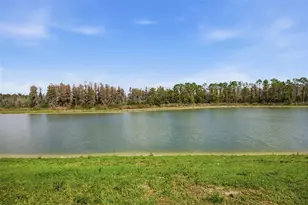 7771 Notched Pne Bnd, Wesley Chapel, FL 33545 - Photo 69