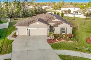 12629 Palapa Loop, Spring Hill, FL 34610 - Photo 57