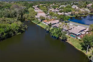 1418 Woodstream Dr, Oldsmar, FL 34677 - Photo 61