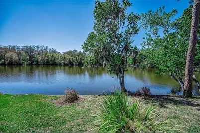 1418 Woodstream Drive, Oldsmar, FL 34677 - Photo 59