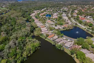 1418 Woodstream Dr, Oldsmar, FL 34677 - Photo 69