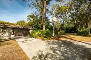 1647 Hobbit Rd, Dunedin, FL 34698 - Photo 7