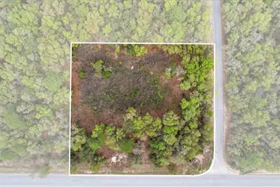 161 W Norvell Bryant Highway, Hernando, FL 34442 - Photo 7