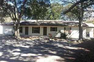 182 Margie St, Palm Harbor, FL 34683 - Photo 1