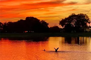 3713 Romano Busciglio St, Tampa, FL 33619 - Photo 49