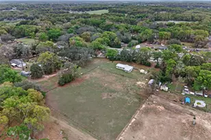 37043 Trilby Rd, Dade City, FL 33523 - Photo 65