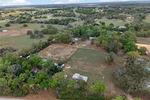 37043 Trilby Rd, Dade City, FL 33523 - Photo 73