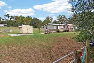 37043 Trilby Rd, Dade City, FL 33523 - Photo 57