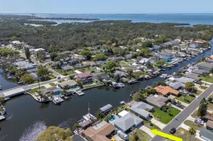 372 Westwinds Dr, Palm Harbor, FL 34683 - Photo 47