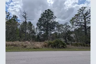 0 Mazette Road, Weeki Wachee, FL 34613 - Photo 5